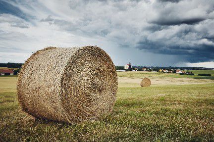 2. výzkumná zpráva